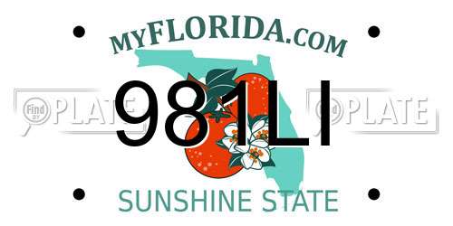 981LI Florida License Plate