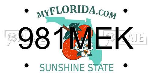 981MEK Florida License Plate