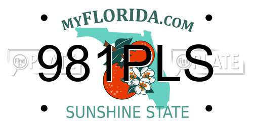 981PLS Florida License Plate