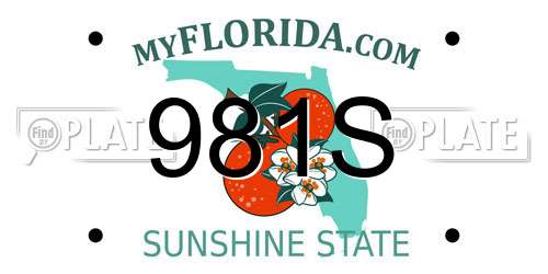 981S Florida License Plate