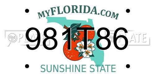 981T86 Florida License Plate