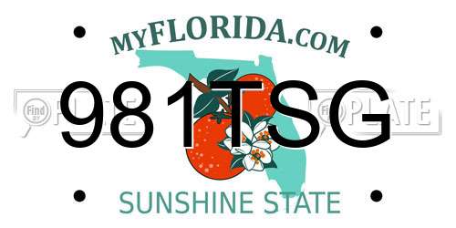 981TSG Florida License Plate
