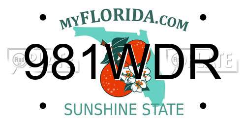 981WDR Florida License Plate
