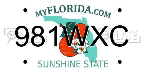 981WXC Florida License Plate