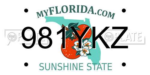 981YKZ Florida License Plate