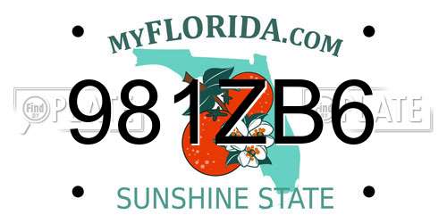 981ZB6 Florida License Plate