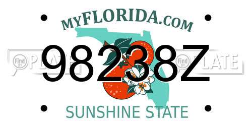 98238Z Florida License Plate