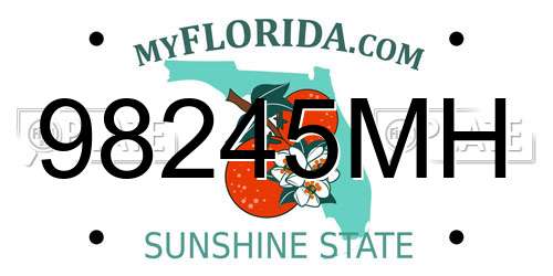 98245MH Florida License Plate