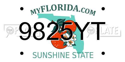 9825YT Florida License Plate
