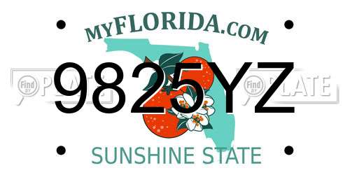 9825YZ Florida License Plate