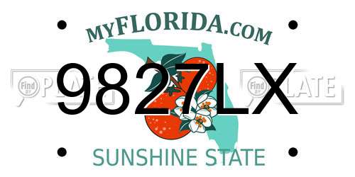 9827LX Florida License Plate