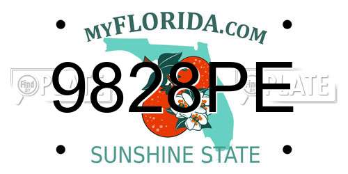 9828PE Florida License Plate