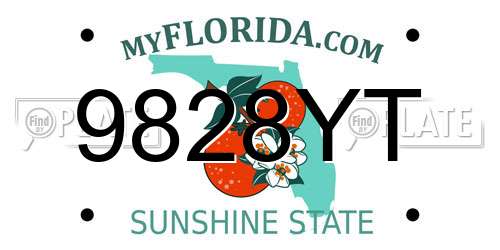 9828YT Florida License Plate