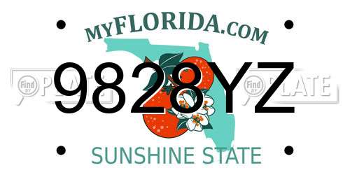 9828YZ Florida License Plate