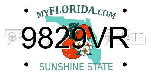 9829VR Florida License Plate