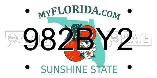 982BY2 Florida License Plate