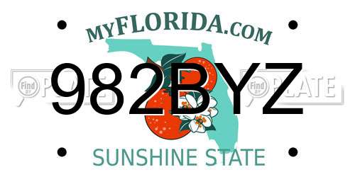 982BYZ Florida License Plate