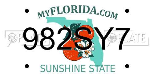 982SY7 Florida License Plate