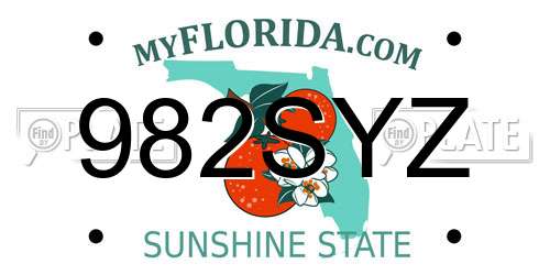 982SYZ Florida License Plate