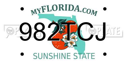 982TCJ Florida License Plate