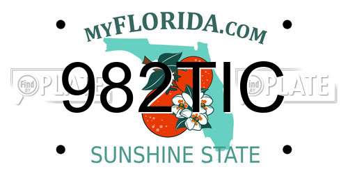 982TIC Florida License Plate