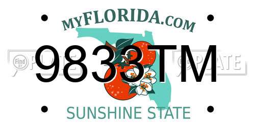 9833TM Florida License Plate