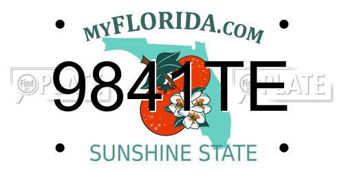 9841TE Florida License Plate
