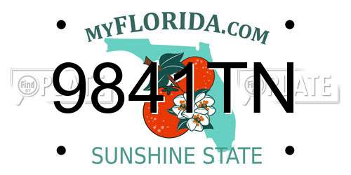 9841TN Florida License Plate