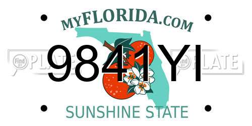 9841YI Florida License Plate