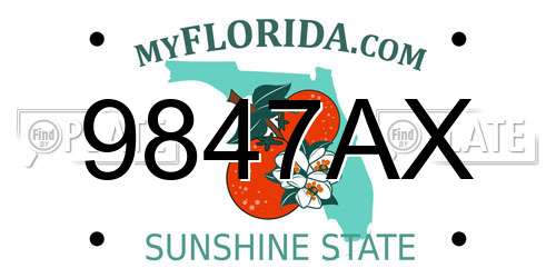 9847AX Florida License Plate