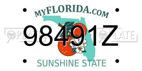 98491Z Florida License Plate