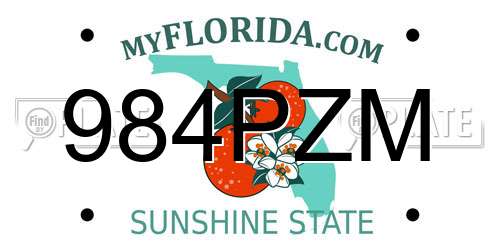 984PZM Florida License Plate