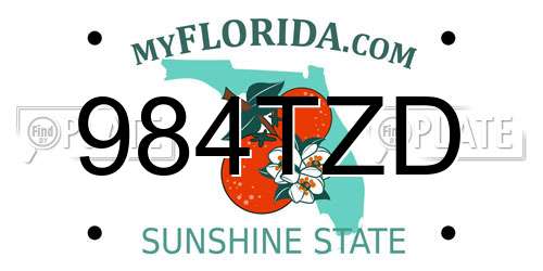 984TZD Florida License Plate