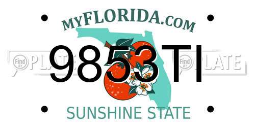 9853TI Florida License Plate