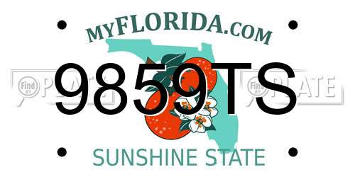 9859TS Florida License Plate