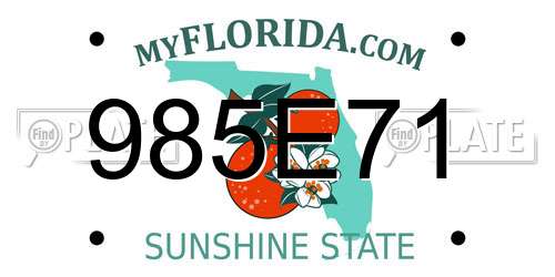 985E71 Florida License Plate
