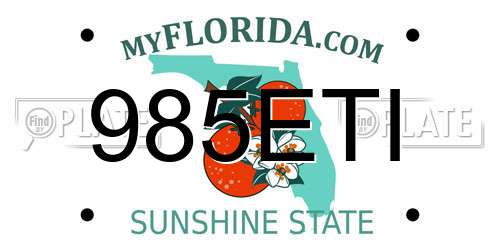 985ETI Florida License Plate