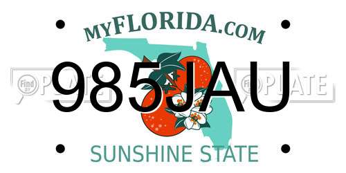 985JAU Florida License Plate