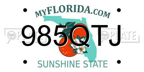 985QTJ Florida License Plate