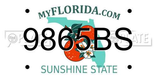 9865BS Florida License Plate
