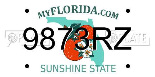 9873RZ Florida License Plate