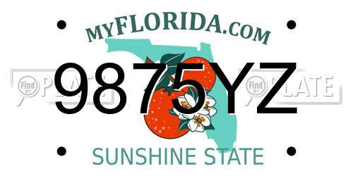 9875YZ Florida License Plate