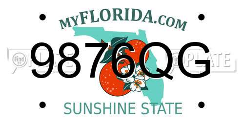 9876QG Florida License Plate