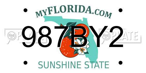987BY2 Florida License Plate