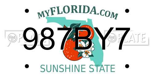 987BY7 Florida License Plate