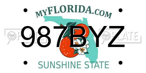 987BYZ Florida License Plate