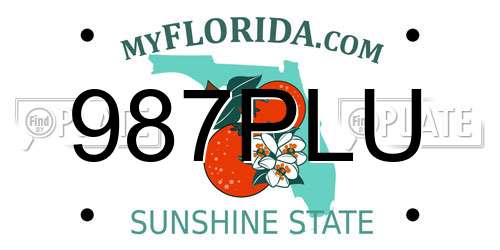 987PLU Florida License Plate