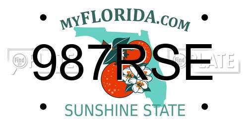 987RSE Florida License Plate