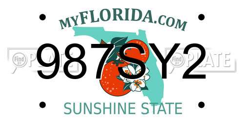 987SY2 Florida License Plate