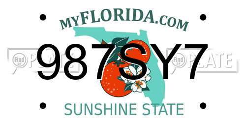 987SY7 Florida License Plate